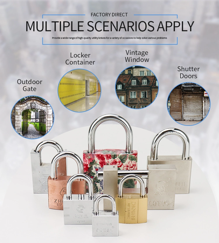 Attractive and Durable Pink Flower Iron Padlock Safety Mini Padlock
