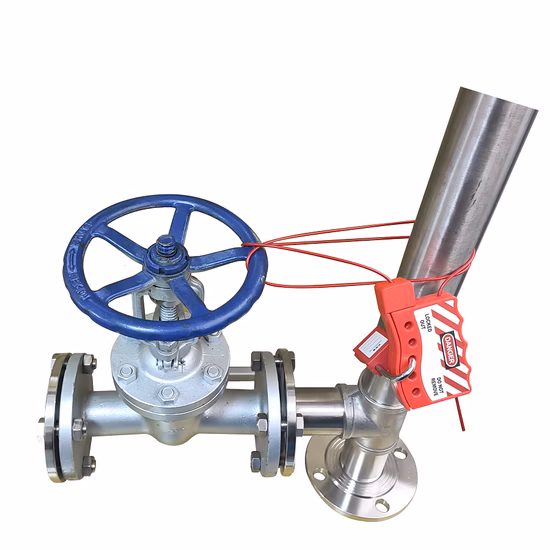 Stainless Steel Butterfly Tamper Hasp Lockout for Multi-Person Management of Industrial Electrical Equipment